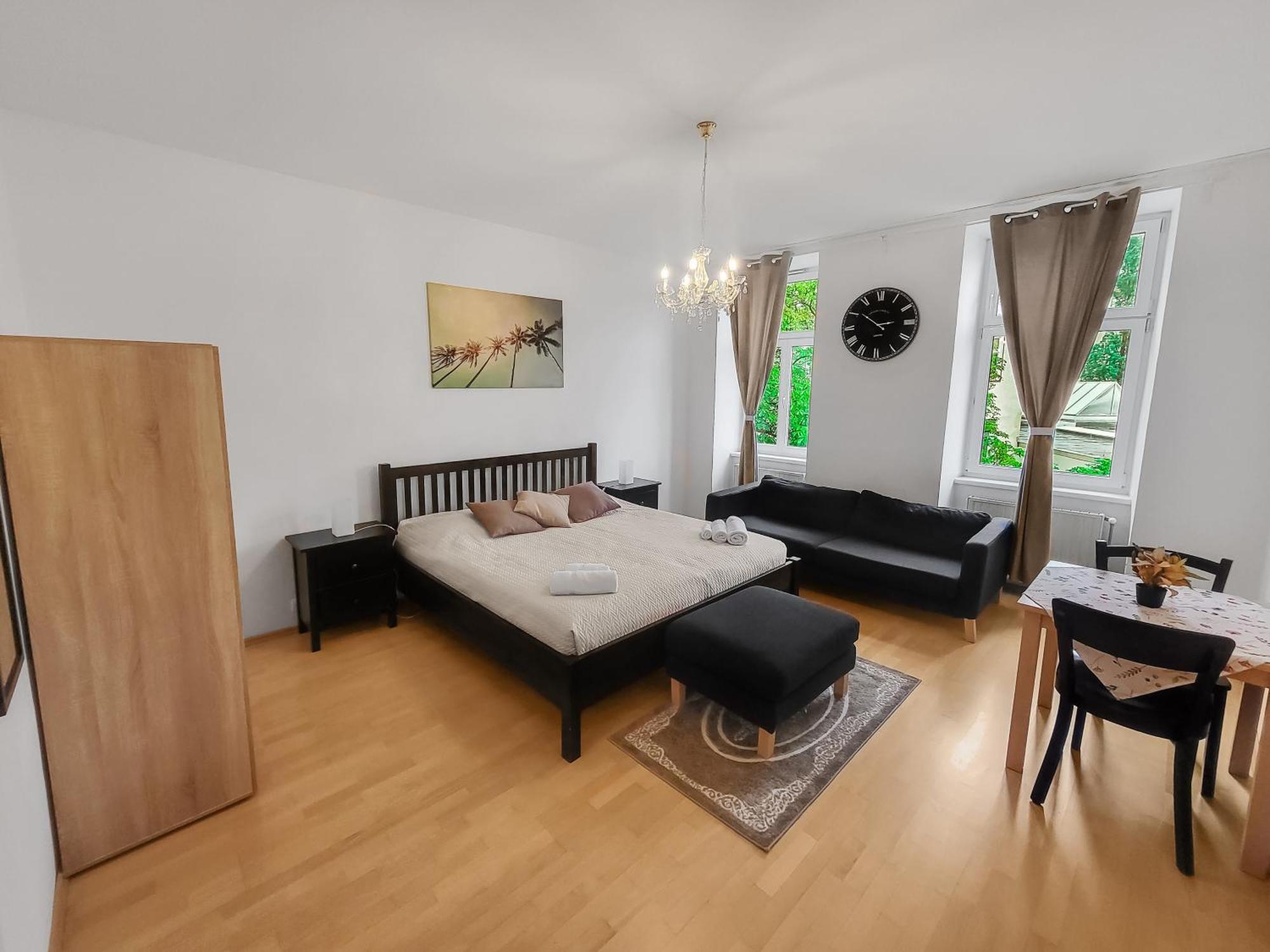 Davidov Stays Danube ウィーン 部屋 写真