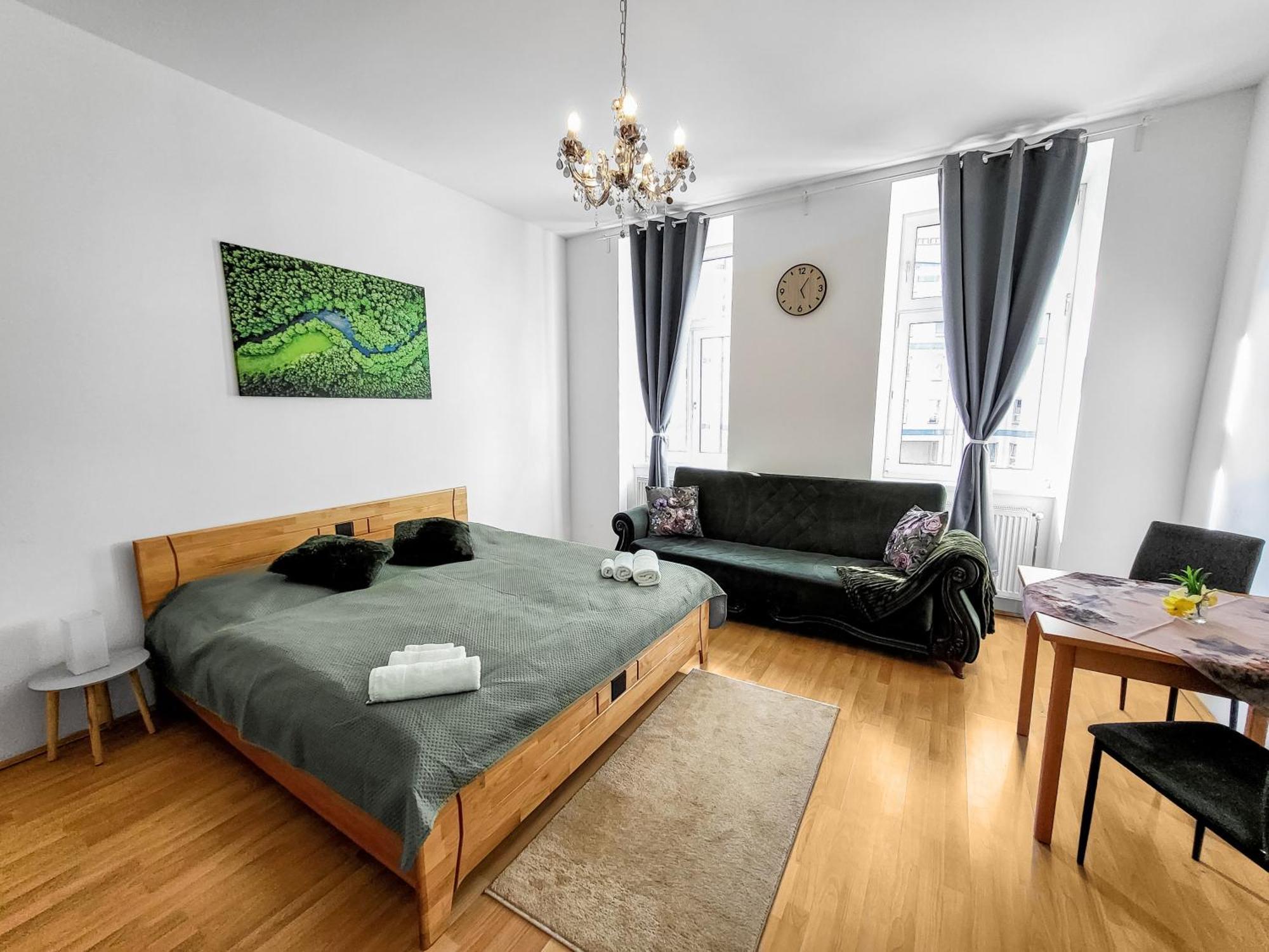 Davidov Stays Danube ウィーン 部屋 写真